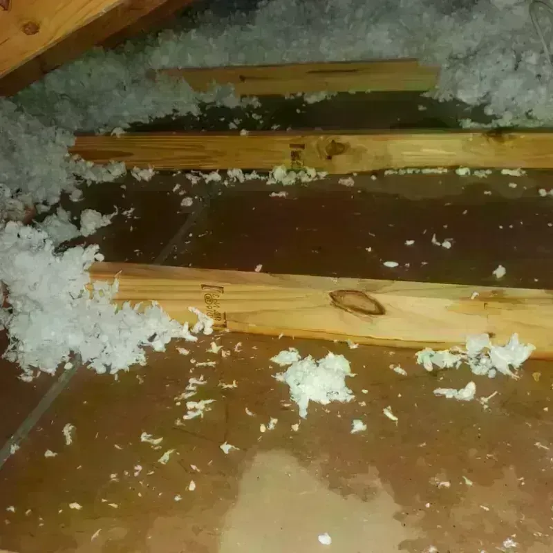 Attic Water Damage in Williamsburg, NY